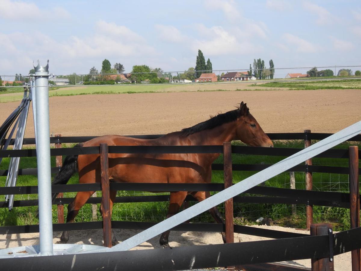 B&B De Linde Wijtschate Dış mekan fotoğraf